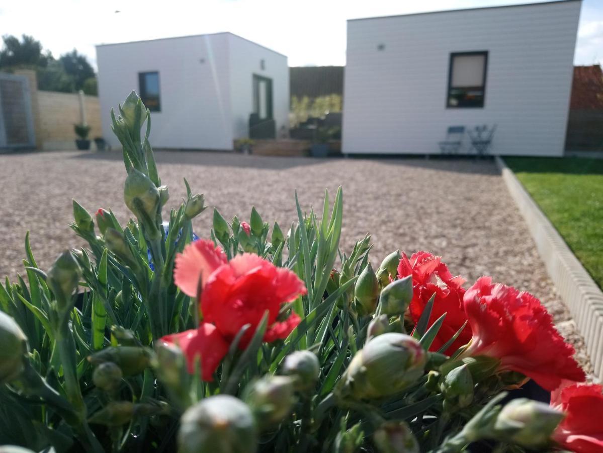 Au Cap Norwoe Bed and Breakfast Saint-Quentin-en-Tourmont Eksteriør billede